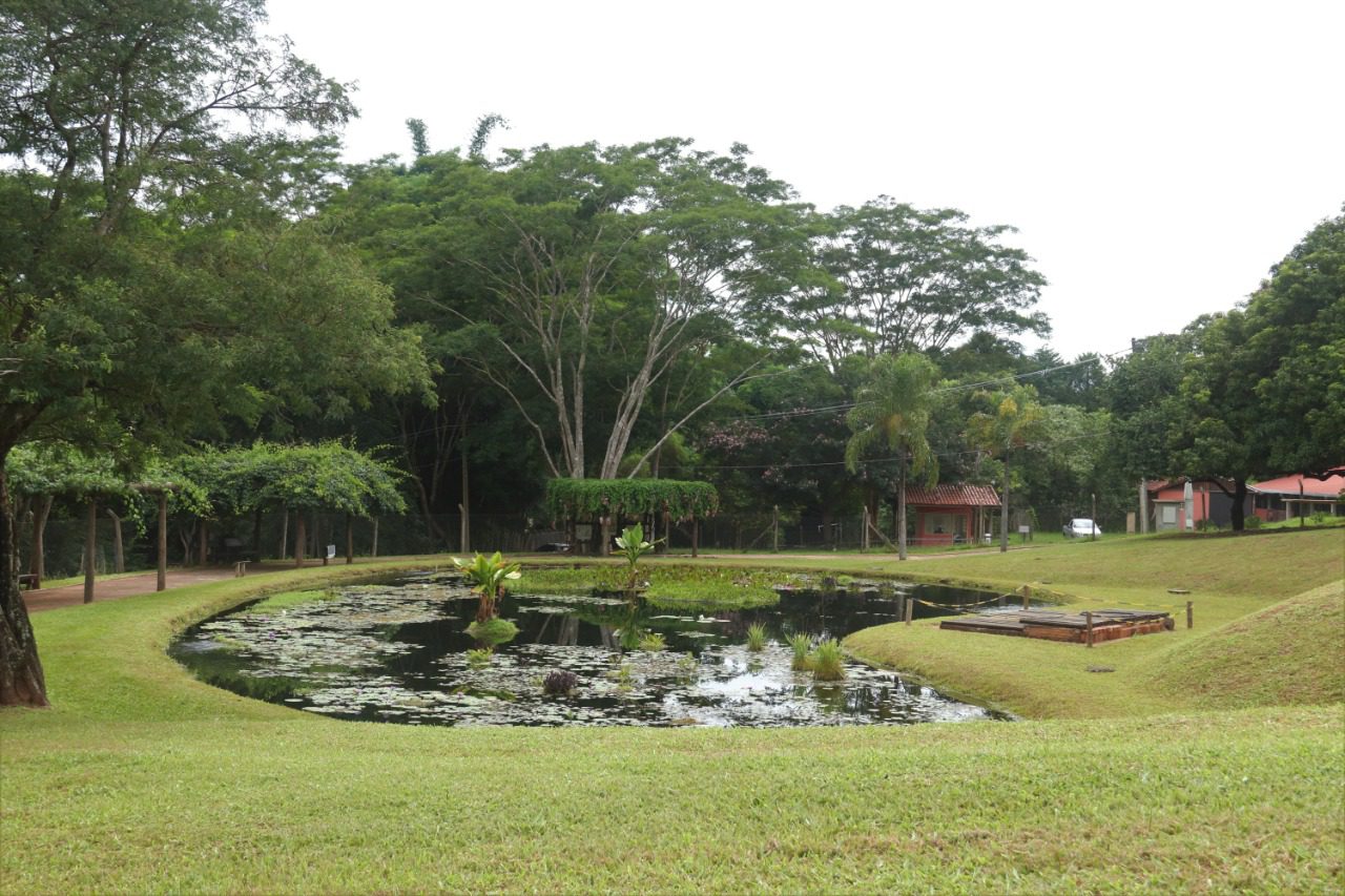 Jardim Botânico De Bauru Completa 26 Anos Revista Atenção 3175