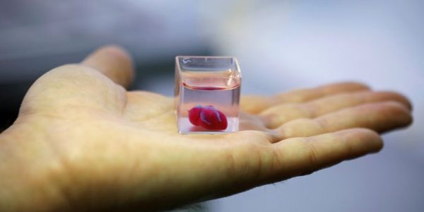 Um copo transparente contendo o que os cientistas israelenses da Universidade de Tel Aviv dizem ser o primeiro coração vascularizado impresso em 3D e vascularizado do mundo, é visto durante uma demonstração em um laboratório na universidade, em Tel Aviv.