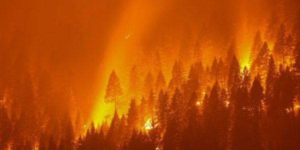 Incêndios florestais na Califórnia devastaram a vegetação e algumas comunidades em julho de 2021

Crédito: 27/07/2021 REUTERS/David Swanson