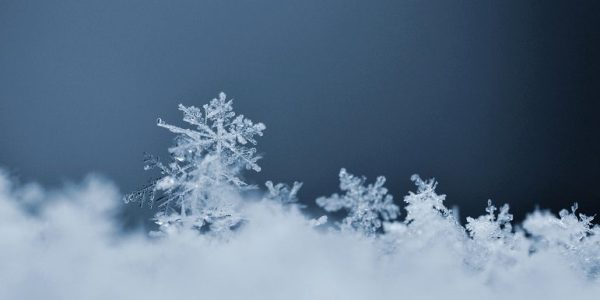 Snowflake. Macro photo of real snow crystal. Beautiful winter background seasonal nature and the weather in winter.