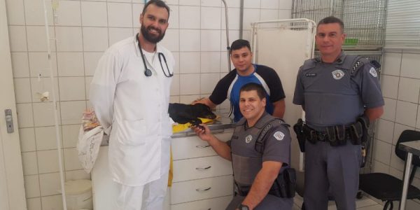 93eaa2da_8fc1_4170_b0ff_0f18fdc94f5f-1491460[1]