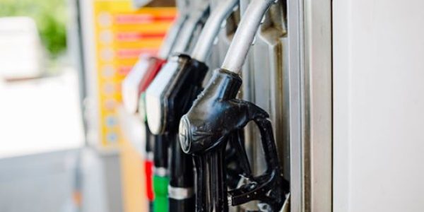 96512144_243259440092853_4331770608766418944_n