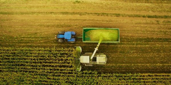 Além de carnes, o país se destacou também nas exportações de soja, de produtos florestais, do complexo sucroalcooleiro, cereais, farinhas e preparações / Fonte: Hans Neleman/Getty Images