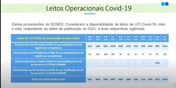 Apresentação do Ministério da Saúde sobre leitos de UTI — Foto: Reprodução