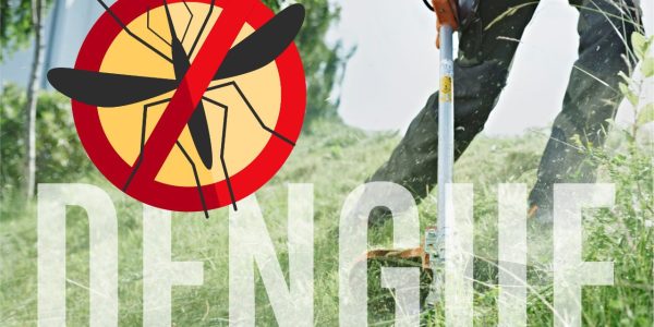 WhatsApp Image 2020-05-19 at 17.53.13(1)