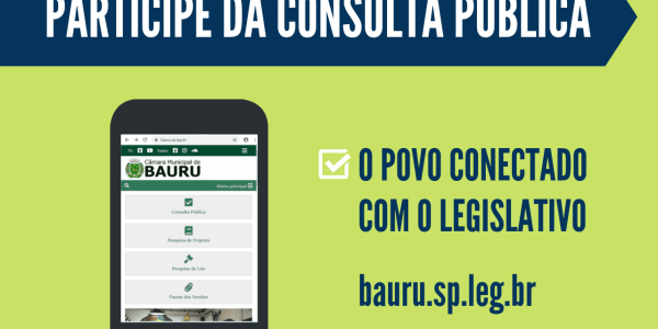 consulta_publica_v1[1]