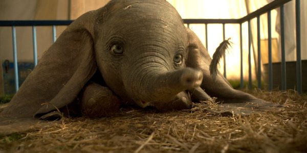 dumbo3