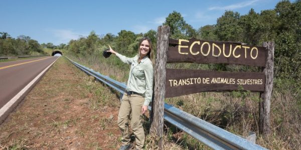 Fernanda Abra at wildlife overpass, Ruta 101, Misiones, Argentina