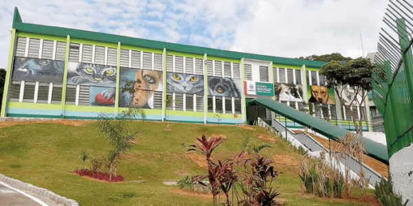 hospital-veterinario-osasco-correio-paulista-696x522