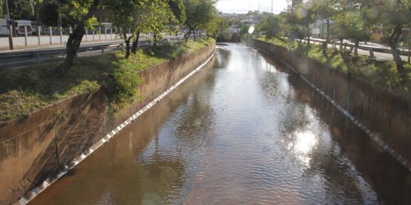 Peixes no Rio bauru região entre a Rodoviária e a Rondon