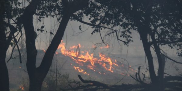 jrmala52829-1546512[1]