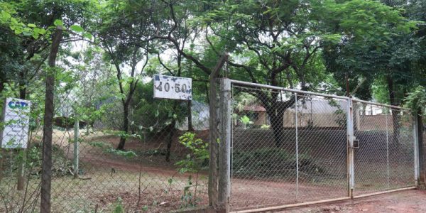 Antigo endereço da Cati, prédio na avenida Rodrigues Alves receberá o centro de reabilitação / Foto: Malavolta Jr.