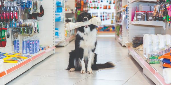 Brasil tem 6,4% de participação global no mercado de produtos pet