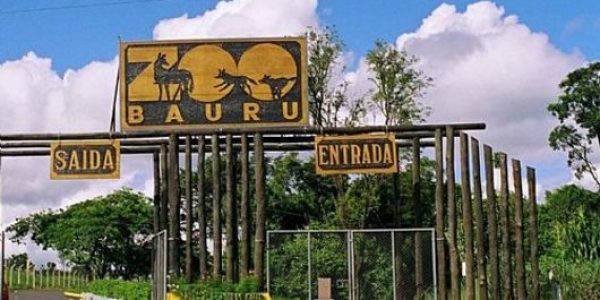 normal_ZooBauru_(1)