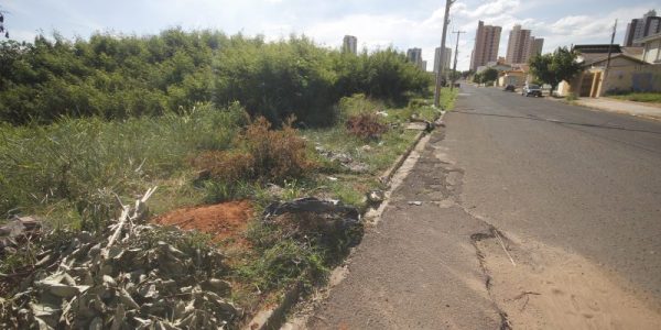 Morador reclama de terrenos particulares com mato alto. 19/04/2018