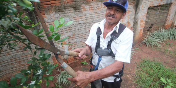 Aumento do número de MEIs com mais de 60 anos. 01/03/2019
Jalmes Manoel do Nascimento