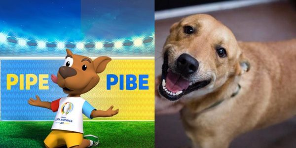 vira-lata-caramelo-mascote-da-copa-américa[1]