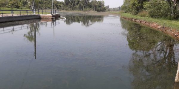 Falta de chuva vem prejudicando sistema da estação do Batalha / Foto: DAE/Divulgação