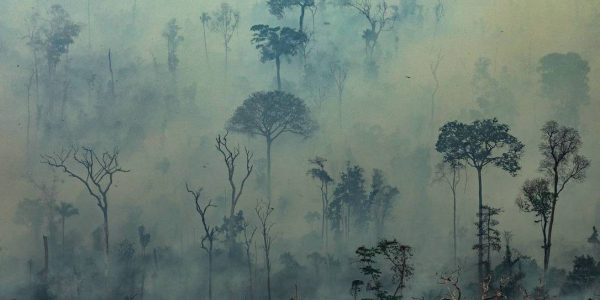 x84259124_TOPSHOTHandout-aerial-picture-released-by-Greenpeace-showing-smoke-billowing-from-fires.jpg.pagespeed.ic.VGStldE_C6[1]